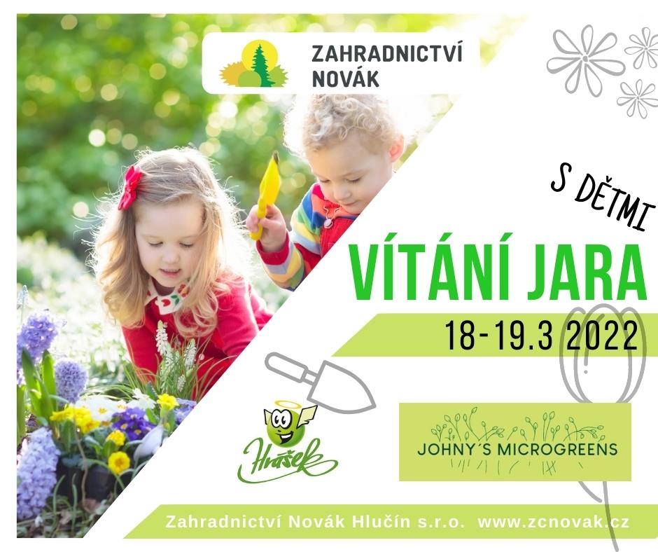 Jarní sázení hyacintů s dětmi.