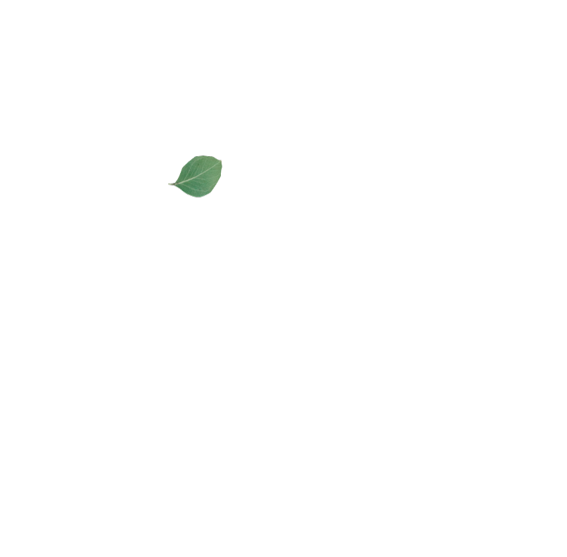 Věrnostní program